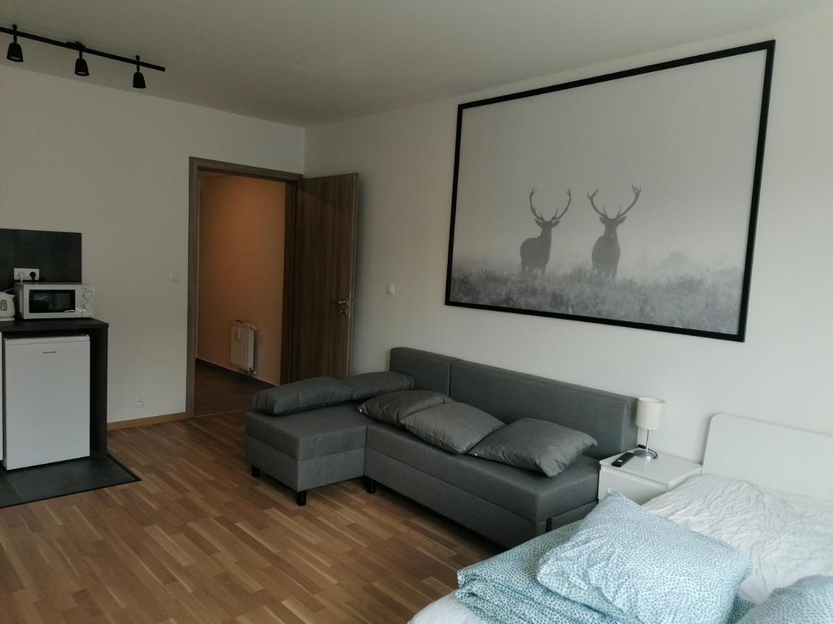 Apartamento Brand New #62 With Free Secure Parking In The Center Praga
